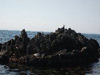 i Trezza-20110311 071